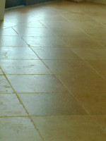 Foto: image 6 0f 16 thumb